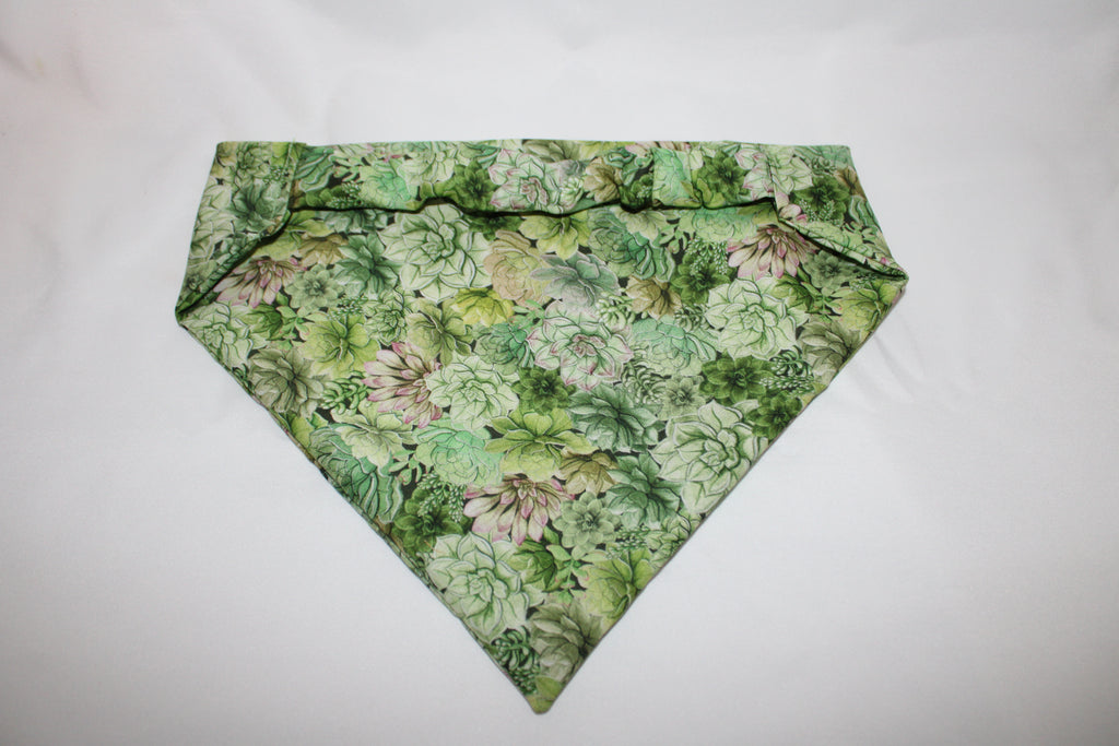 Succulent Dog Bandana