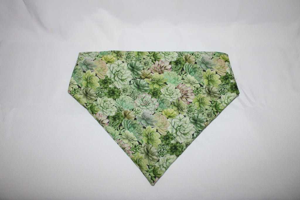 Succulent Dog Bandana